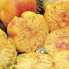 120 Seeds Pineapple Tomato Seeds Heirloom Organic Non Gmo Rare