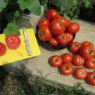 120 Seeds Homestead Tomato Seeds Drought Resistent Heirloom Non Gmo