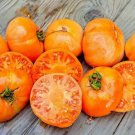 120 Seeds Amana Orange Tomato Seeds Heirloom Organic Non Gmo Rare