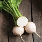 250 Seeds White Albino Beet Seeds Heirloom Organic Non Gmo Fresh