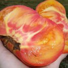 10 Seeds Big Rainbow Tomato Seeds Heirloom Organic Non Gmo Fresh Rare