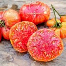 10 Seeds Hillbilly Tomato Seeds Heirloom Organic Non Gmo Rare