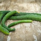 25 Seeds Suyo Long Cucumber Seeds Heirloom Non Gmo Organic Genuine Rare