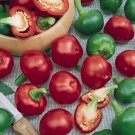 120 Seeds Red Cherry Hot Pepper Seeds Pimenta Nongmo Heirloom Organic