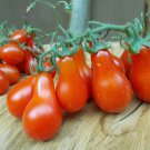 120 Seeds Red Pear Tomato Seeds Heirloom Non Gmo Fresh