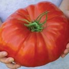 120 Seeds Mortgage Lifter Tomato Seeds Large Heirloom Organic Non Gmo Fresh