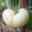 120 Seeds Great White Tomato Beefsteak Seeds Heirloom Organic Non Gmo Rare