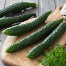 50 Seeds Suyo Long Cucumber Seeds Heirloom Non Gmo Organic Genuine Rare