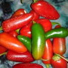 100 Seeds Tam Jalapeno Pepper Seeds Heirloom Organic Non Gmo Fresh