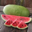 50 Seeds Charleston Grey Watermelon Seeds Heirloom Organic Non Gmo Giant