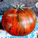 120 Seeds Vintage Wine Striped Tomato Seeds Beefsteak Heirloom Huge 1 Lb Rare