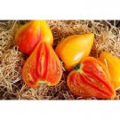 30 Seeds Orange Oxheart Tomato Seeds Heirloom Organic Non Gmo Fresh Rare