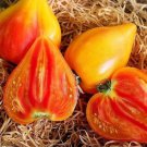 120 Seeds Orange Oxheart Tomato Seeds Heirloom Organic Non Gmo Rare