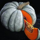 30 Seeds Jarrahdale Blue Pumpkin Seeds Jarradale Queensland Cinderella Doll Fresh