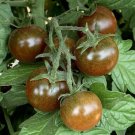 30 Seeds Brown Berry Tomato Seeds Heirloom Non Gmo Organic Rare