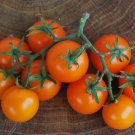 120 Seeds Orange Cherry Tomato Seeds Heirloom Non Gmo Organic Rare