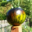120 Seeds Green Zebra Tomato Seeds Heirloom Non Gmo Organic Fresh