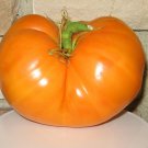 120 Seeds Amana Orange Tomato Seeds Heirloom Organic Non Gmo Fresh Rare