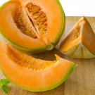 50 Seeds Hales Best Jumbo Cantaloupe Seeds Large Heirloom Organic Non Gmo