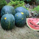 20 Seeds Moon And Stars Red Watermelon Seeds Heirloom Organic Non Gmo 15/25 Seeds Lbs