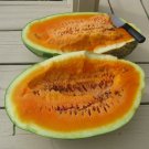 50 Seeds Orangeglo Watermelon Seeds Large Sweet 20 Seeds To 30 Seeds Pounds Non Gmo