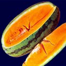 25 Seeds Orangeglo Watermelon Seeds Large Sweet 20 Seeds To 30 Seeds Pounds Non Gmo