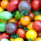 60 Seeds Rainbow Cherry Tomato Seeds Heirloom Organic Non Gmo Fresh