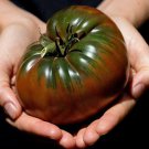 120 Seeds Russian Black Krim Tomato Seeds Non Gmo Organic Heirloom
