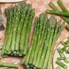 100 Seeds Asparagus Seeds Uc 157 F2 Seeds Heirloom Organic Non Gmo
