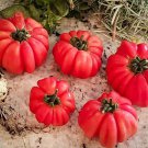10 Seeds Mushroom Basket Tomato Seeds Heirloom Organic Non Gmo Rare