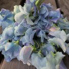 50 Seeds Lunar Blue Sweet Pea Seeds For Garden Planting Easy to Grow