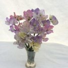 50 Seeds Semigrandiflora Mixture Sweet Pea Seeds For Garden Easy to Grow