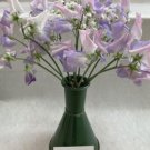 50 Seeds Enchante Sweet Pea Seeds For Garden Planting Easy to Grow