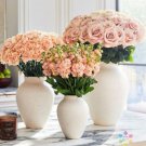 200 Seeds Sand Pink Carnation Seeds For Garden Planting Easy to Grow