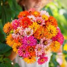 100 Seeds Burpeeana Giants Mix Zinnia Seeds For Garden Easy to Grow