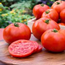 50 Seeds Burpee’S Red Juicy Big Boy Tomato Seeds For Garden Easy to Grow