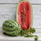 50 Seeds Georgia Rattlesnake Watermelon Seeds For Planting Easy to Grow
