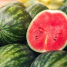 50 Seeds Picnic Watermelon Seeds For Garden Planting Easy to Grow