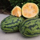 50 Seeds Orangeglo Watermelon Seeds For Garden Planting Easy to Grow