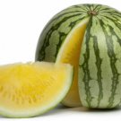 50 Seeds Yellow Doll Seedless Watermelon Seeds For Planting Easy to Grow