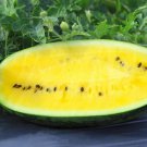 50 Seeds Mountain Sweet Yellow Watermelon Seeds For Planting Easy to Grow