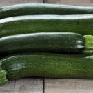 25 Seeds Spineless Perfection Zucchinsquash Seeds Planting Easy to Grow