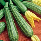25 Seeds Gadzukes Zucchinsquash Seeds For Garden Planting Easy to Grow