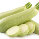 25 Seeds Bianco Dtrieste Zucchinsquash Seeds For Planting Easy to Grow