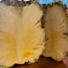 15 Seeds Sugarloaf Pineapple Seeds For Garden Planting Easy to Grow