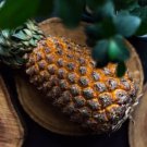 15 Seeds Giant Kew Pineapple Seeds For Garden Planting Easy to Grow