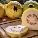 50 Seeds Mexican Cream Guava Seeds For Garden Planting Easy to Grow