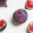 100 Seeds Conadria Fig Seeds For Garden Planting Easy to Grow