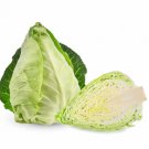 500 Seeds Pointed Cabbage Seeds For Garden Planting Easy to Grow