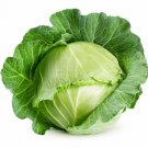 500 Seeds Late Flat Dutch Cabbage Seeds For Garden Planting Easy to Grow